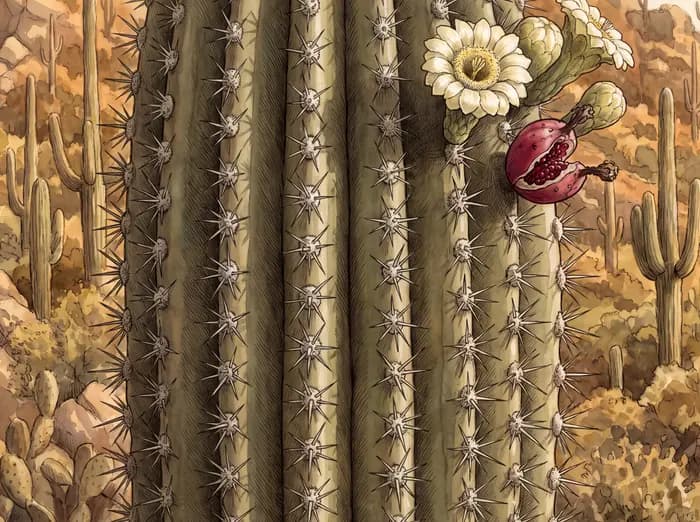 Flora