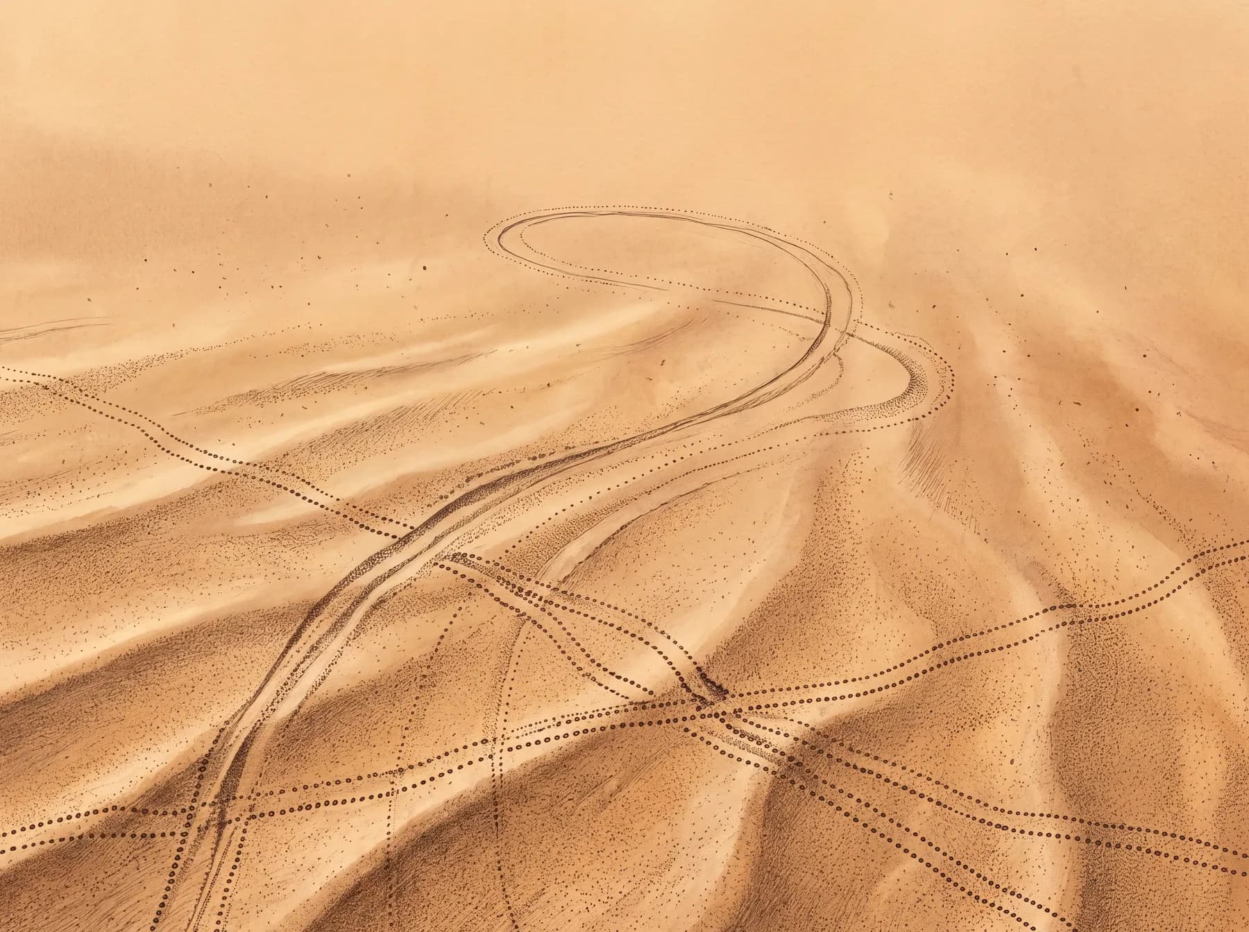 Invertebrate trackways