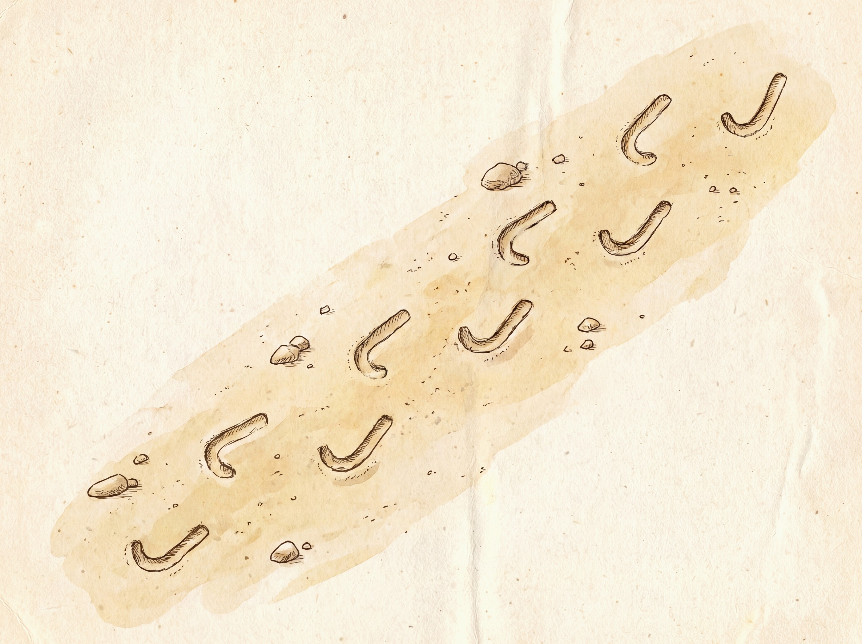 Sidewinder